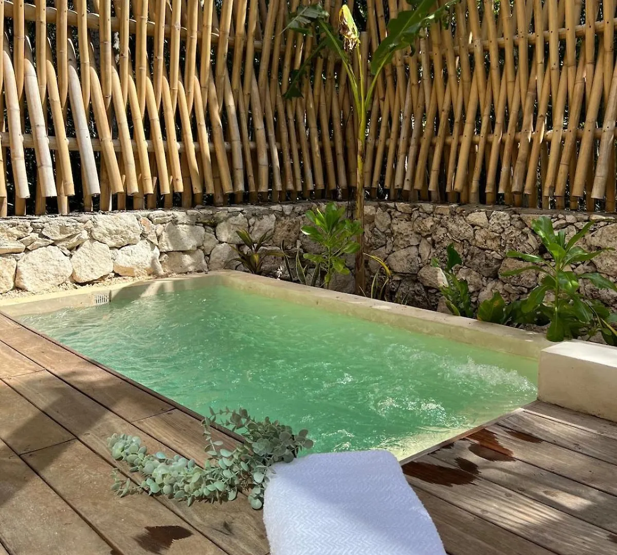 Medaya Selva Retreat location